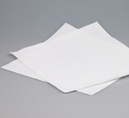 Niet Geweven lichtgewicht veegt Antistatisch Wissercleanroom Document 9 de Grootte van“ af X 9“